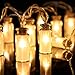 Solar String Lights, Oak Leaf 30 LEDs Waterproof Glass Jar LED Fairy Lights for Outdoor Garden Backyard Wedding Indoor Party, Warm White,9.8 ft