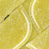 Boston Fruit Slice Individually Wrapped Gourmet Gummy Candy 5lb Case (Lemon)