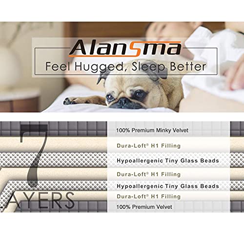 ALANSMA Reversible Weighted Blanket for All Season, Luxury Velvet, Warm