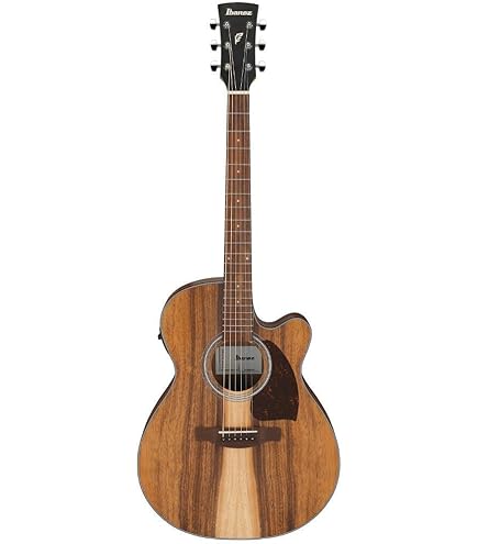 Amazon.com: Ibanez AAM54CEOPN Advanced Acoustic Auditorium