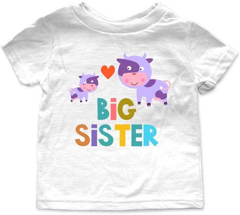baby born big sister clothes