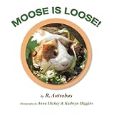 Moose Is Loose! by