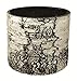 SURREAL Planters BV-10 Vertical Planter, 12-Inch, Birch