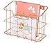 PAG Rose Gold Office Supplies 5 in 1 Desk Organizer Set - Hanging File Organizer, File Tray, Letter Sorter, Pencil Holder and Sticky Note Holder