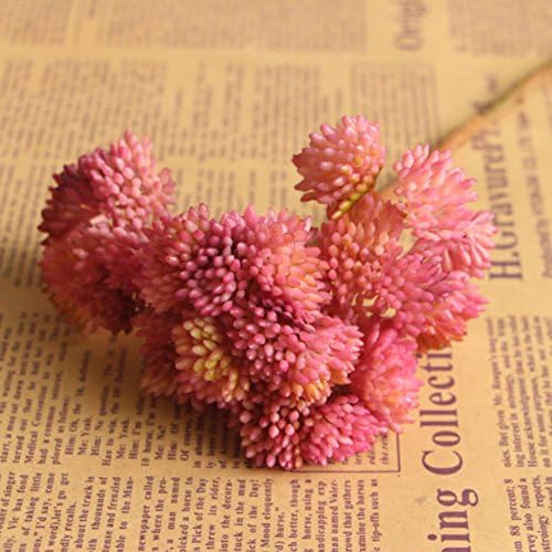 AMAZZANG-Simulation Fake Succulent Plant Stem Real Touch Fruit Foliage Flower Decor New (pink)