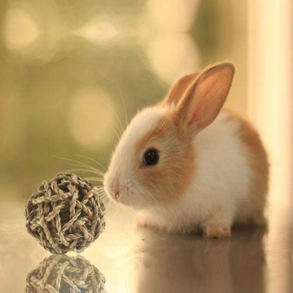 wskderliner Gras Ball natürlicher gewebter Kauen Spielzeug mit Glöckchen im Inneren für Kaninchen Hund Play 4 PCS