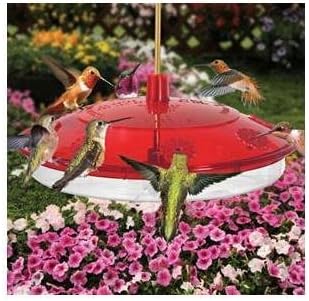 Amazon Com Droll Yankees H8 2 Happy Eight 2 8 Port Hummingbird