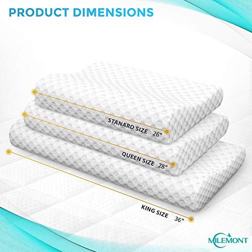 king contour pillow
