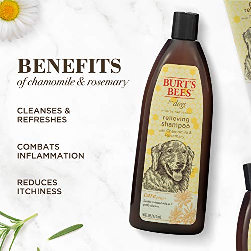 Burt's Bees for Dogs Care Plus+ Natural Relieving Dog Shampoo with