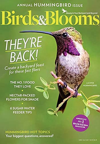 Birds Blooms Print Magazine | amzdealz