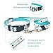 ANNIMOS Pet Dog Cat Collar and Leash Set Adjustable Collars