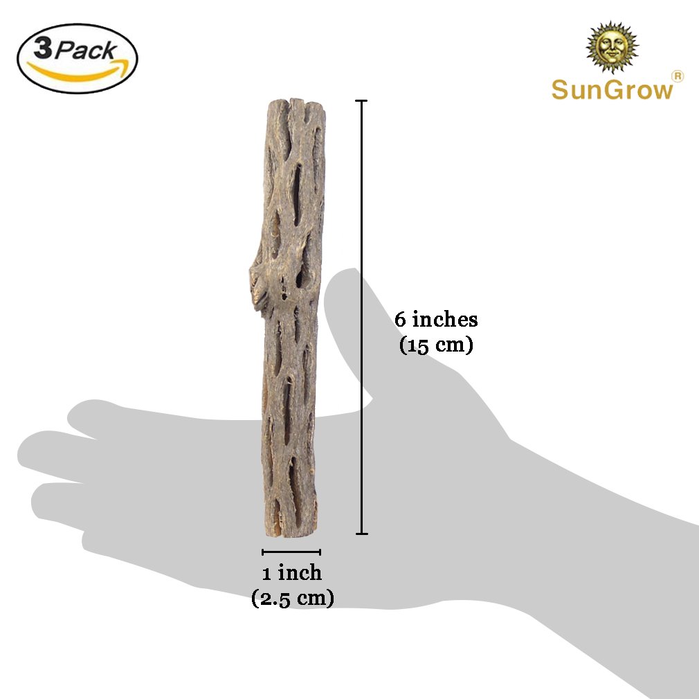 Natural Betta Wood by SunGrow - 3 Pieces - Perfect Cholla Wood Toy for Betta fish - Each Piece is 6 inches Long - Organic softwood, no thorns - Great for Aquarium Decoration