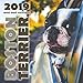 Boston Terrier 2019 Mini Wall Calendar by