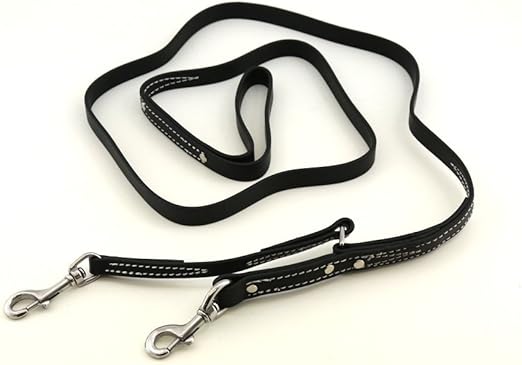 leerburg prong collar