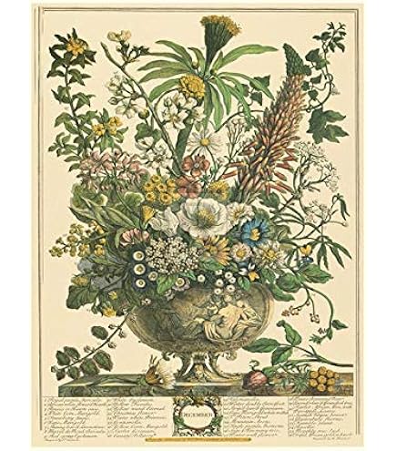 アート・デザイン・音楽 Winterthur's Twelve Months of Flowers Amazon.com: Robert Furber - Twelve Months of Flowers 1730/August