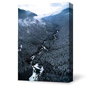 for Living Room Bedroom Home Artwork Paintings Aerial...