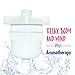 New Wave Enviro Shower Filter System with Chlorine Removal, Included Aromatherapy Ring for Relaxation, 1 Year Filter Life, Easy Installation, White Finish