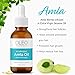 Amla Oil - Fruit infused - Organic, Unrefined, Cold Pressed, Premium Quality, High Concentration Hair Oil - Rejuvenating, No Mineral Oil or Chemicals, Hair Growth - 60ml
