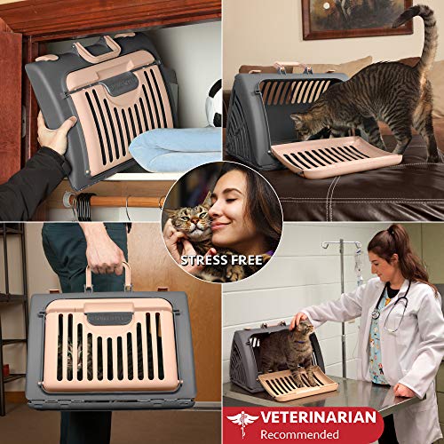 1 SportPet+Designs+Foldable+Travel+Carrier