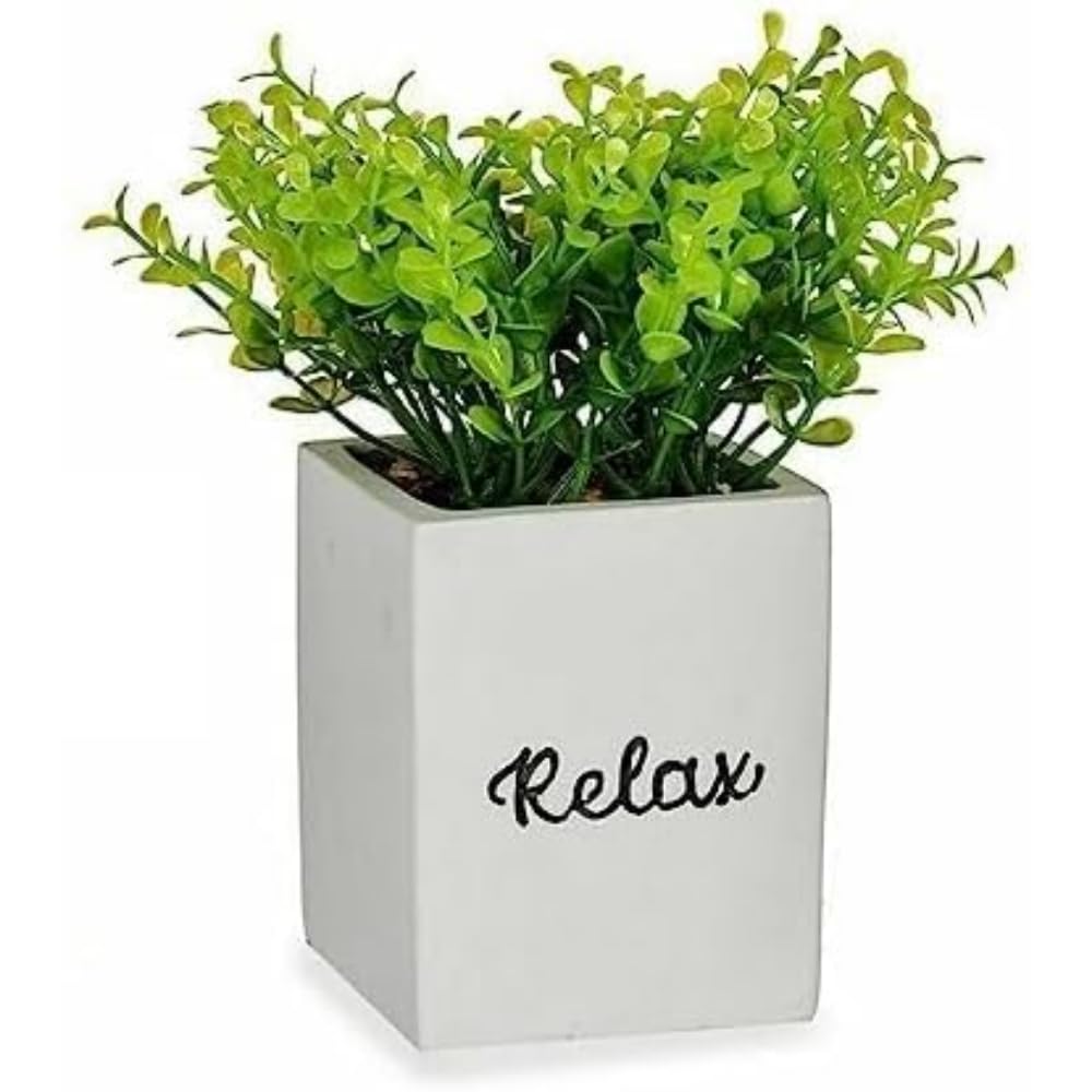 Ibergarden Decorative Plant, Multicoloured, Standard