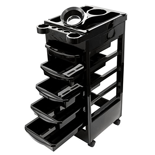 Salon Edge Edge 5 Drawer Beauty Stylist Hair Coloring Trolley Rolling Cart With Mixing Bowl