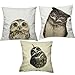 LAZAMYASA Animal Fashion Abstract Pug Dog Cushion Cover Case Pillow Custom Zippered Square Pillowcase 18x18 (one Side),Kitty Hawk