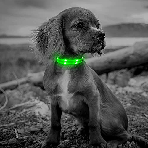 Candofly Rechargeable Light Up Dog Collars - Nylon Breathable LED Dog Collar Double Lights Glowing Pet Collars Perfect for Night Walking Keep Your Dogs & Cats Be Safe (Green, Small)
