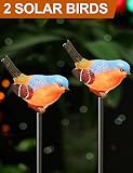 Bright Zeal [Pack of 2] LED Bird Figurines Color Changing Solar Stake Lights Outdoor - Bird Solar Lights Outdoor Garden - Garden Figurines Outdoor Solar Decor Garden - Patio Lights LED Color Changing