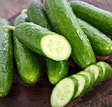 Sweet Yards Seed Co. Organic Cucumber Seeds 'Marketmore 76' - Over 35 Open Pollinated Non-GMO Seeds