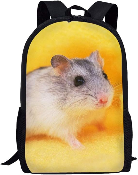 Nopersonality Backpack Book Bag for School Girls Boys Bookbag Kawaii