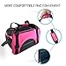 All Cart Cat Dog Pet Carrier Mesh Pup Pack Portable Travel Backpack