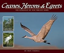 Religious Coloring Book: Coloring Books for Kids (Art Book Series)