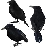 3 Pcs Black Feathered Crows Realistic Halloween Decorations Indoor Outdoor | Realistic Crows, Artificial Handmade, Ravens for Party Outdoor and Indoors, Birds Prop