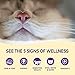 Wellness Kittles Natural Grain Free Cat Treats, Tuna & Cranberries, 6-Ounce Bag