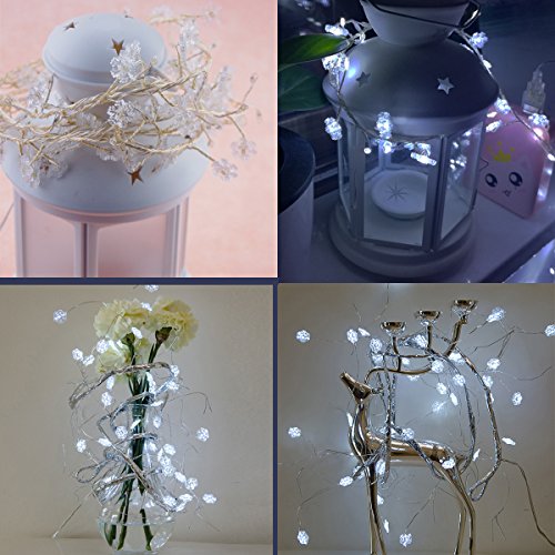 TOFU Decorative String Lights, 5 ft 40 LED Battery Operated Copper Lights Jar for Wedding, Home, Birthday, Indoor, Outdoor, Bedroom, Dorm, Party, Christmas Tree Decoration (Snowflakes White)