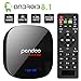 Android TV Box, Pendoo A95X Android 8.1 TV Box 2GB RAM 16GB ROM, Amlogic S905W Quad-Core Android TV Box WiFi 2.4GHz 4K/3D/H.265 Android Box LED Display/Updated Remote Control