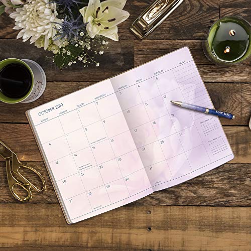 Orange circle studio 2020 leatheresque large monthly planner august