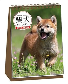Amazon Co Jp 16年 柴犬カレンダー 卓上書き込み式 B6タテ カレンダー 福田豊文 文房具 オフィス用品
