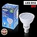 ChiChinLighting R14 E17 LED (Warm White, R14 E17 Single)