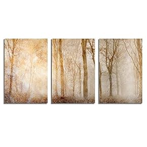 Canvas Wall Art Abstract Vintage Style...
