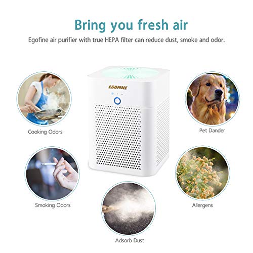 Do Cheap Air Purifiers Work? (These 10 Products Prove They Do)