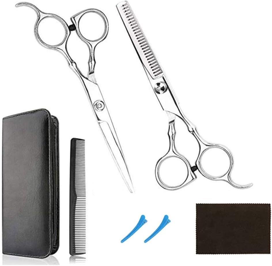 Hair Cutting Scissors Set Haircutting Scissors Barber Thinning Scissors Hairdressing Shears Set (Sliver, 6PCS)
