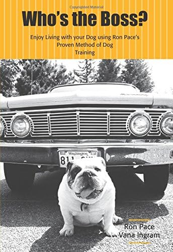Who's the Boss? Paperback – May 1, 2010
