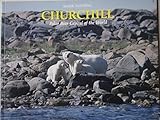 Churchill: Polar Bear Capital of the World by