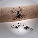 Malloom 1 Pair Trendy Black Spider Punk Unisex Funny Stud Earring Women Men J.