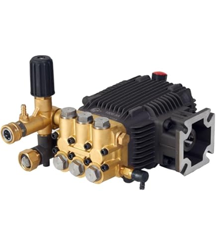 Amazon.com: Canpump CF 1520 EH Electric Pressure Washer Pump