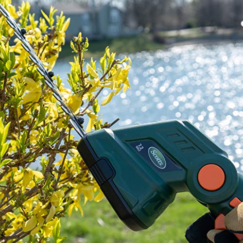 6 Scotts+Outdoor+Power+Tools+LSS10172S