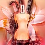 Jean Paul Gaultier Classique Eau de Toilette Spray for Women 50ml view 3