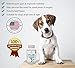 PetSupercare Hip and Joint Supplement with Chondroitin, MSM and Vitamins for Dog’s Arthritis Pain Relief, 120 Chewable Beef Flavor Tablets