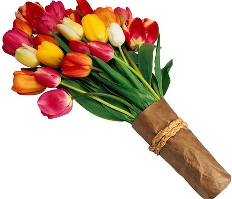 Amazon Co Jp A3 ポスター チューリップの花の花束明るい紙白背景 壁紙ウォールステッカーポスター A3 4x297mm Generic